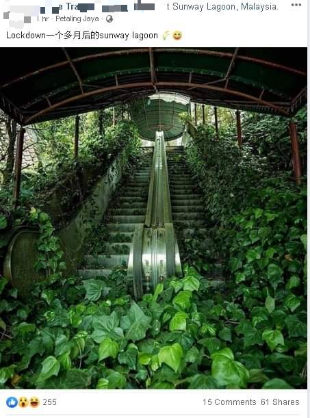 脸书上近日流传一张手扶梯长满野草的照片，被指是双威水上乐园在关闭一个多月后出现的情景。