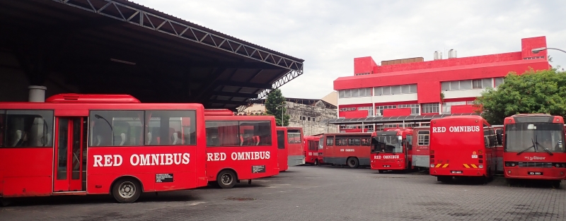红巴士预料将在本月12日行驶，多辆巴士仍停泊在巴士站。