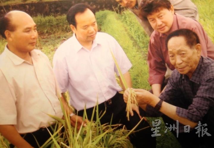 林育庆（右二）在袁隆平（右一）的协助下，历经挫折终于种出杂交水稻，大大提高菲律宾稻米的自给率。