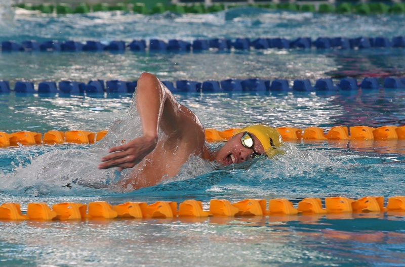 大马泳总已向青体部上诉，以让大马泳将和跳水选手早日复训。图为沈威胜在2019年大马游泳公开赛比赛画面。（档案照）