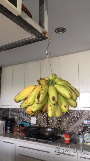 水果档把香蕉挂起来不是没有道理的，这样做可避免压伤香蕉，减少浪费。（图片：Mareena Yahya Kerschot）