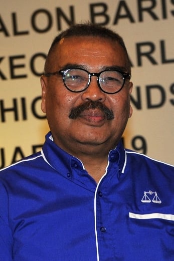 南利莫哈末诺受委公共信托有限公司（Amanah Raya ）非执行主席。