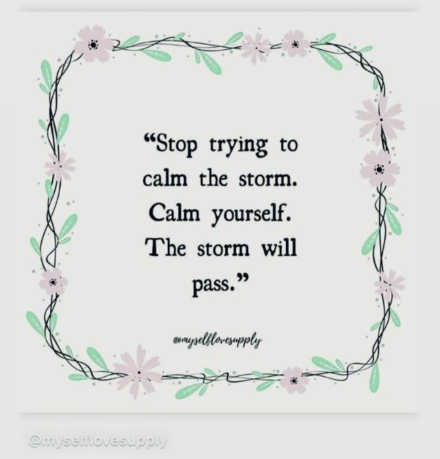 朱智贤于社交网转贴一个发文，文中写道：“Stop trying to calm the storm. Calm yourself. The storm will pass.”