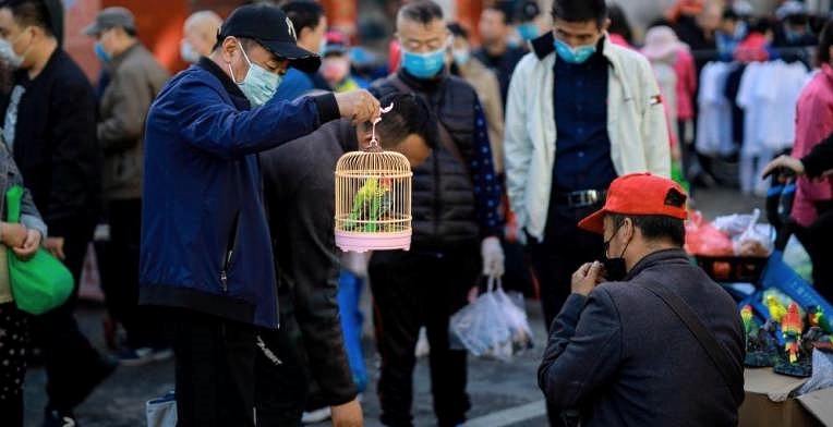 A man looks at a pair of parrots at a market in Shenyang in China's northeastern Liaoning province. AFP A man looks at a pair of parrots at a market in Shenyang in China's northeastern Liaoning province. AFP
