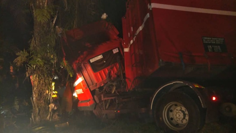 一辆拖格罗里失控后撞上路旁大树，罗里司机被夹在驾驶座位处动弹不得。