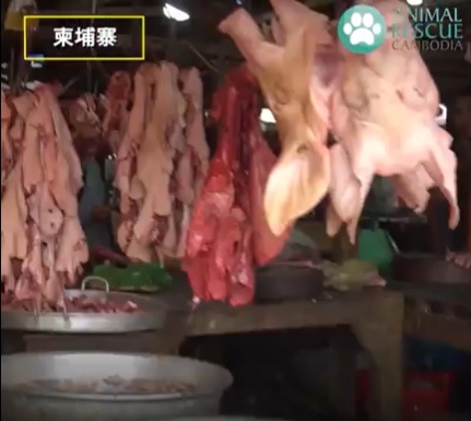 柬埔寨商販把生豬肉和豬頭吊起來，顧客僅穿拖鞋在血跡斑斑的地板上走動。