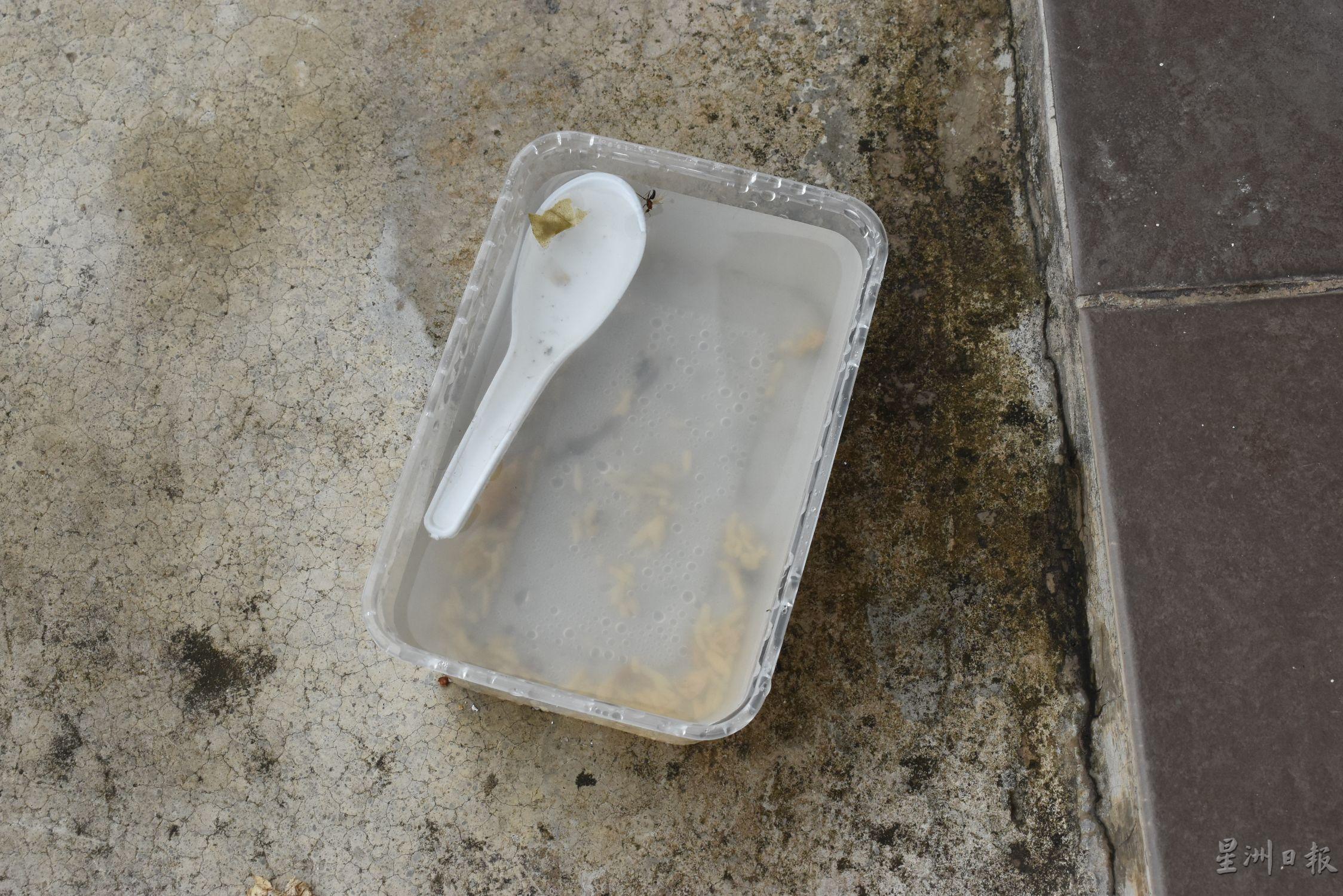 积水的塑料饭盒，担心滋生黑斑蚊。