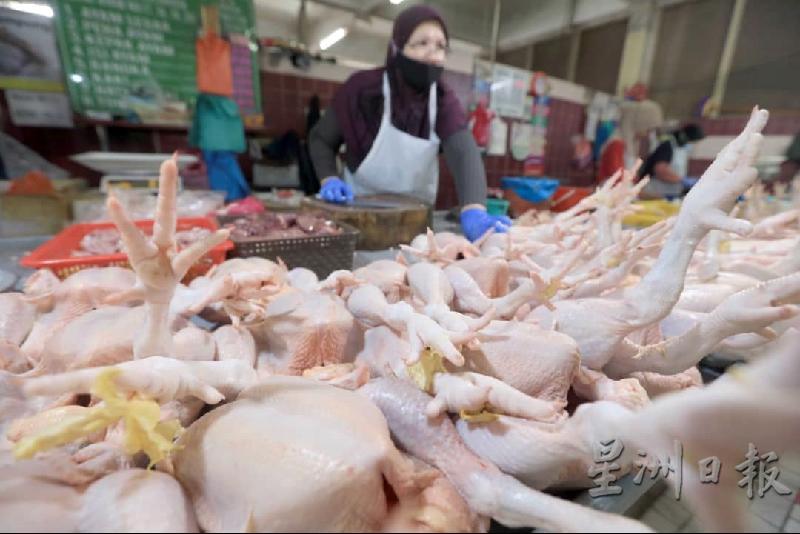 彭亨地區的肉雞價格在過去一周忽猛漲近4令吉左右。