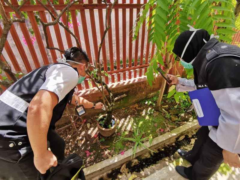 沙巴州卫生局官员检查居民住家花盆的积水。（图取自冯晋哲脸书）