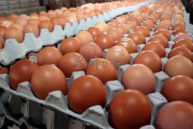 市场上的鸡蛋共分7种级别，目前价格大跌的是D和E级小蛋。