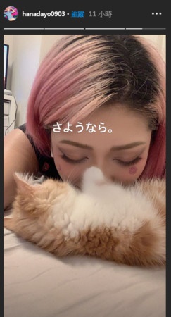 木村花在社群平台上PO出和爱猫的合照，趴在猫咪旁边留下一句再见。