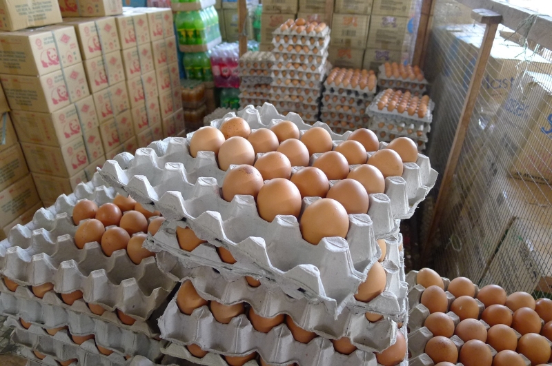 C及D级别鸡蛋产量过剩，市价大跌。