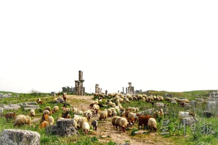 散落在地平线的羊群默默地低头叼草，牧羊少年的踪影却无从追溯。