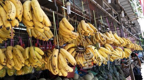 广受各族人士喜爱的香蕉，销量向来都不错。