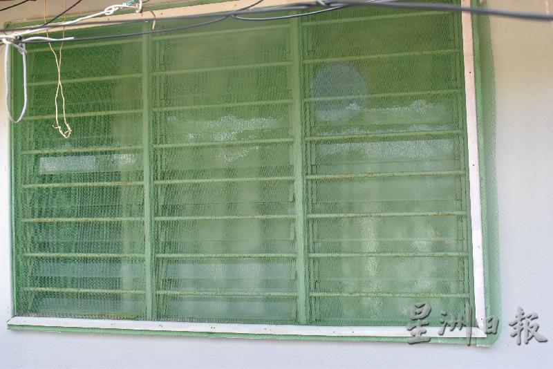 住家窗口都盖上蚊网，防止蚊子入屋。