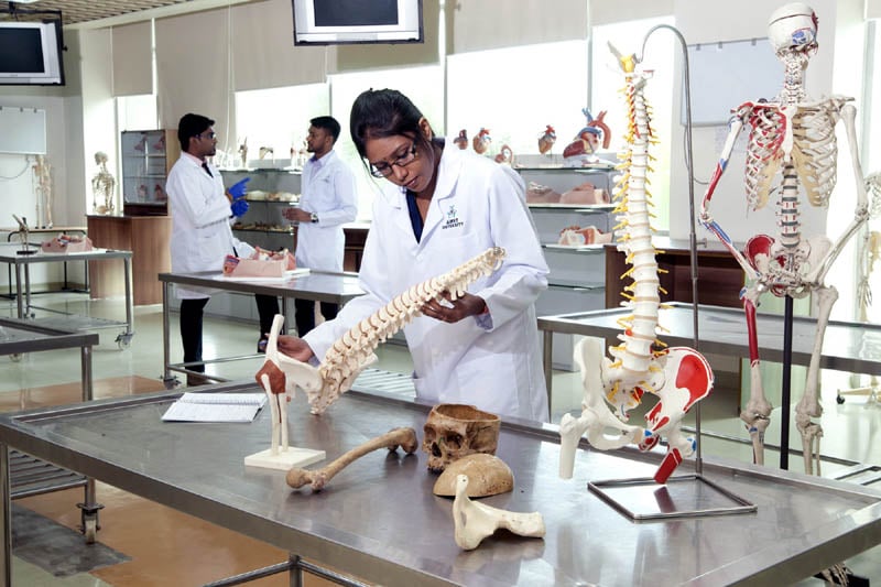 医学系学生认真学习人骨构造。