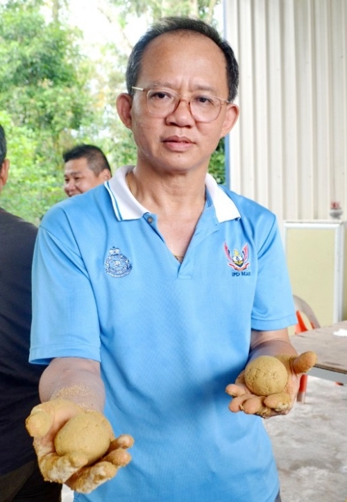 推動製作EM微生物泥球已有9年光景的李光輝，報效100萬粒泥球的原料之一的EM活性液。