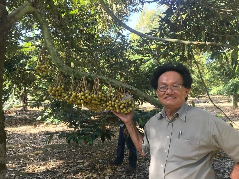 韩学习：随著本地水果季节到来，需要用到大量的外劳采收，预料劳工短缺现象将进一步加剧。