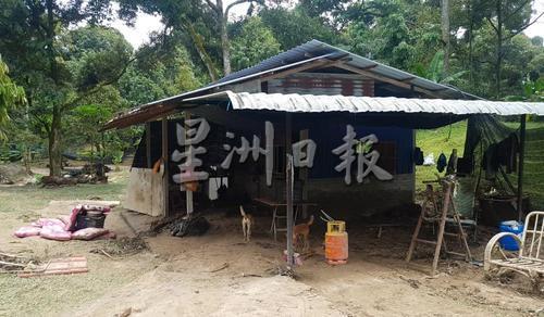 河水高涨时，莫桂方的外劳居住的小屋在淹水时，水深2至3尺。