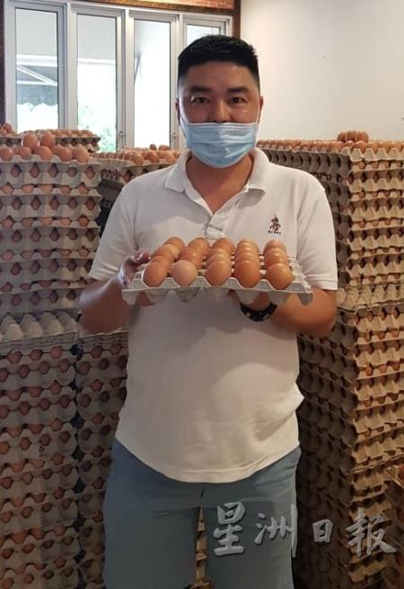 张子江：AA及A等级的鸡蛋，从行管令至今都处于缺货的情况。（图：星洲日报）