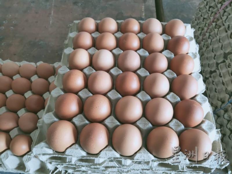 一托30粒的A级鸡蛋售价为11令吉10仙。（图：星洲日报）