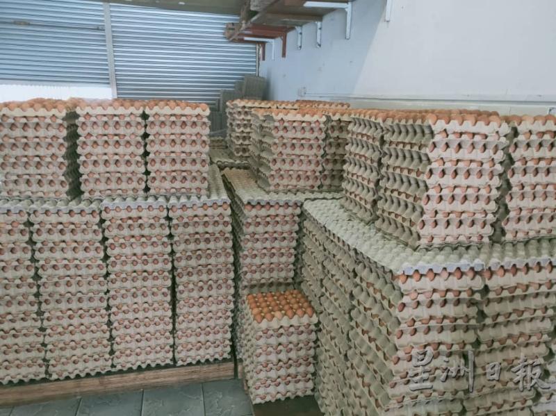 州内市场上的鸡蛋价格未因产量过剩而大幅下跌。（图：星洲日报）