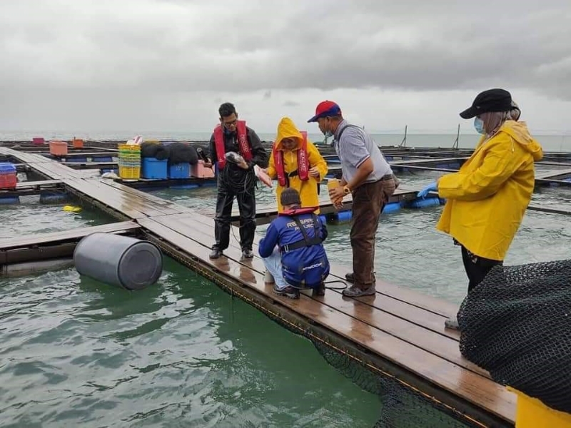 漁業局官員到受影響的魚池採集水質以做化驗 。