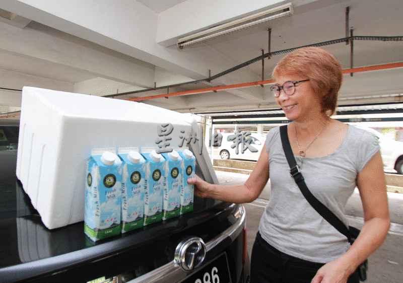 本地资深导游梁玉婉在失业数个月后，近日开始做牛奶配送服务维持生计。