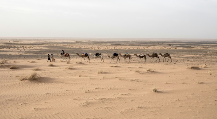 Travelling at a camel's pace provides a greater chance of spotting artefacts in the sand, Tillet says. AFP