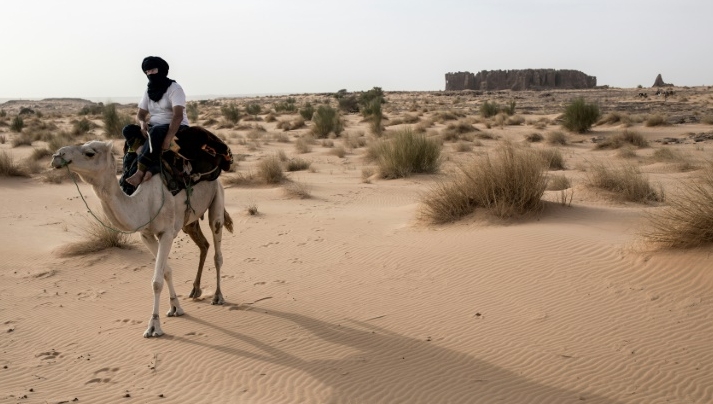 French archaeologist Thierry Tillet has spent nearly 50 years exploring the Sahara. AFP