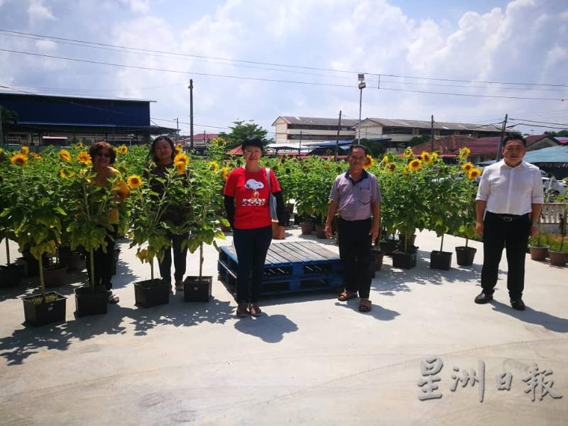 吴健南、何彩思与温雅兰，在郑进蕊及李光兴带领下，参观村委会种植的500朵太阳花。
