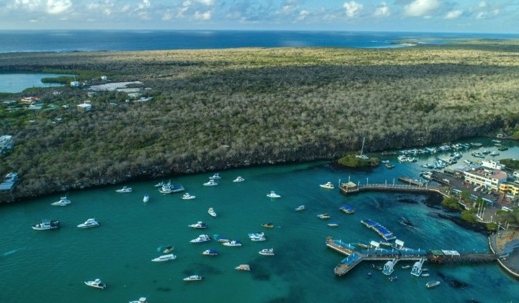 Galapagos authorities are desperately hoping for a revival of the vital tourism industry once visitors are allowed to fly in again. AFP