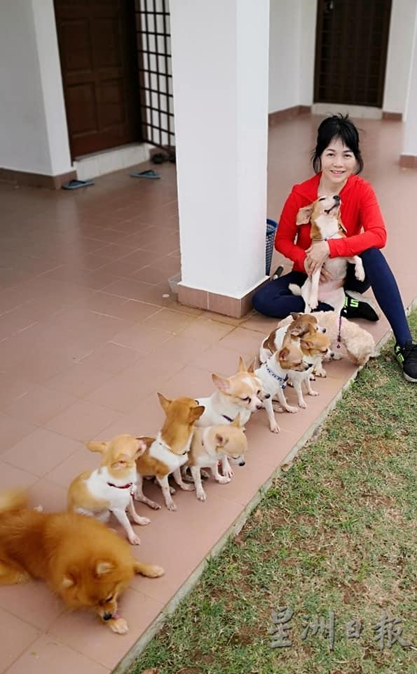 李亦文养的11只狗狗教导有方，一起带出门也没有难度。