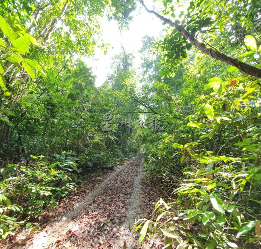 双溪美也拉生态教育旅游中心的生态公园将获打造及规划一条脚踏车跑道，日后让游客入内参观森林。
