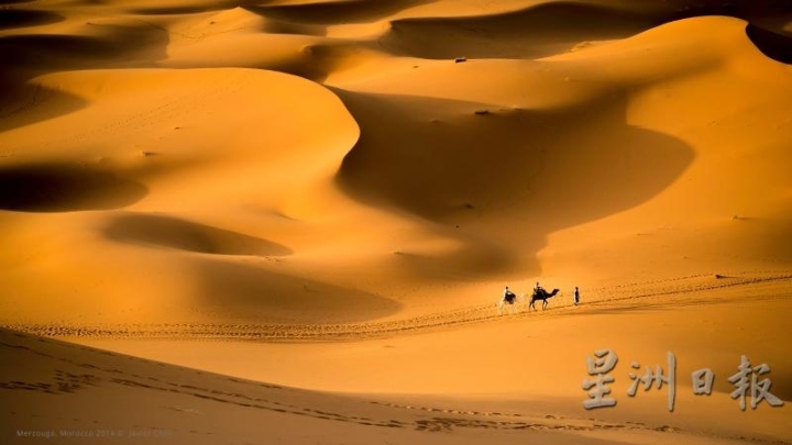 黄沙遍地的撒哈拉大沙漠有着迷人的魅力，沙丘具有完美的棱角，看着骆驼漫步走过沙漠还挺疗愈。