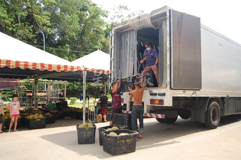 批发中心员工把猫山王搬上货柜罗里，准备运到国外市场销售。