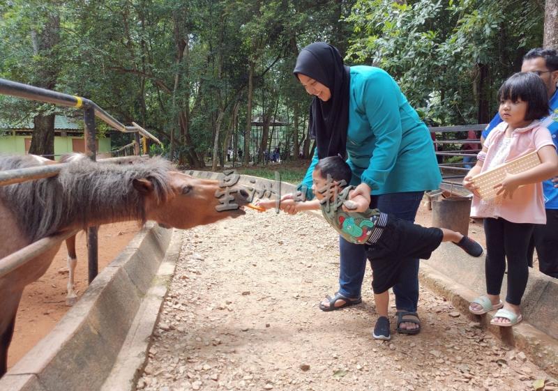 妈妈让孩子体验喂食小马，笑得好开心。