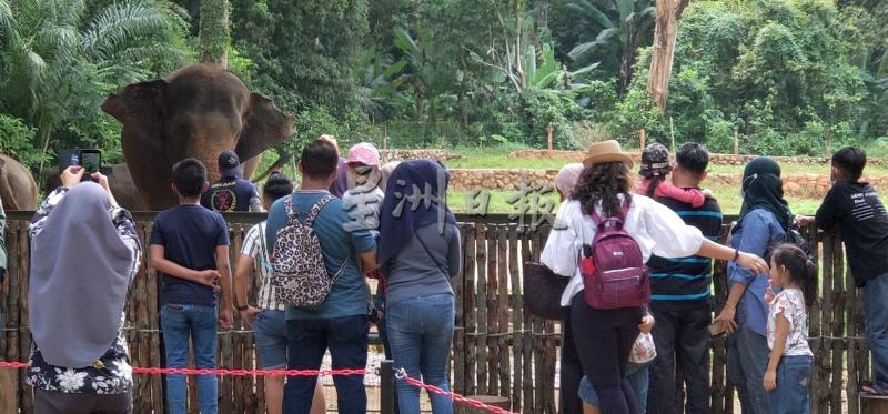家庭式游客踊跃参观马六甲动物园，享受久违的大自然亲子乐。