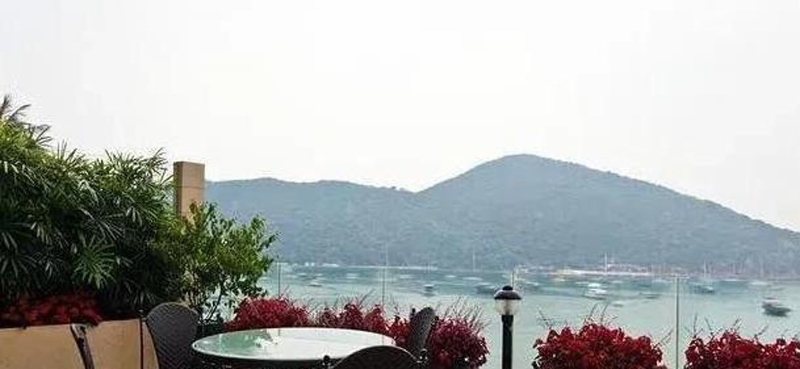 洪金宝豪宅露台能看到远山和海港。