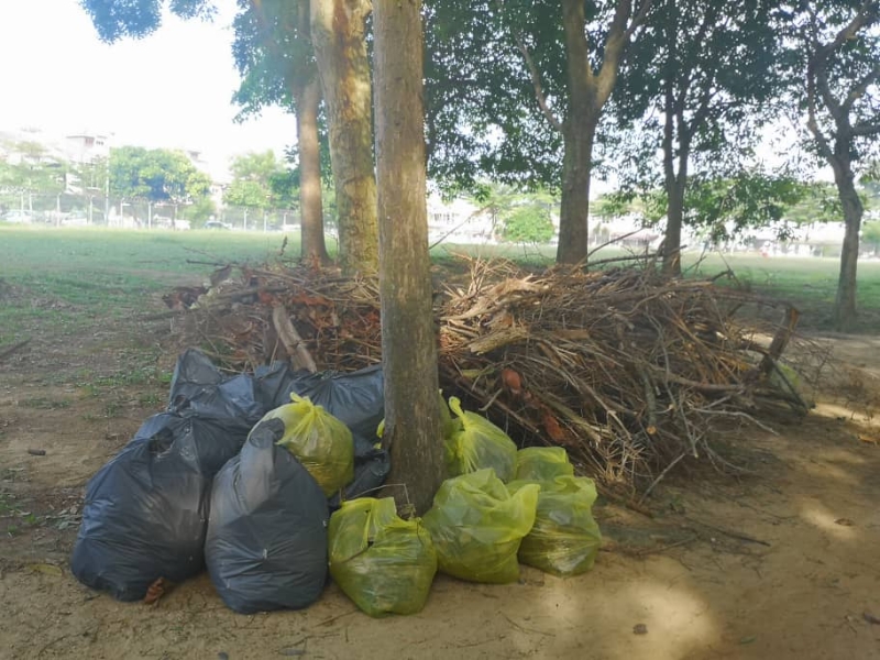 不到30分钟时间，300人清出了一大堆垃圾和乾枯树枝。