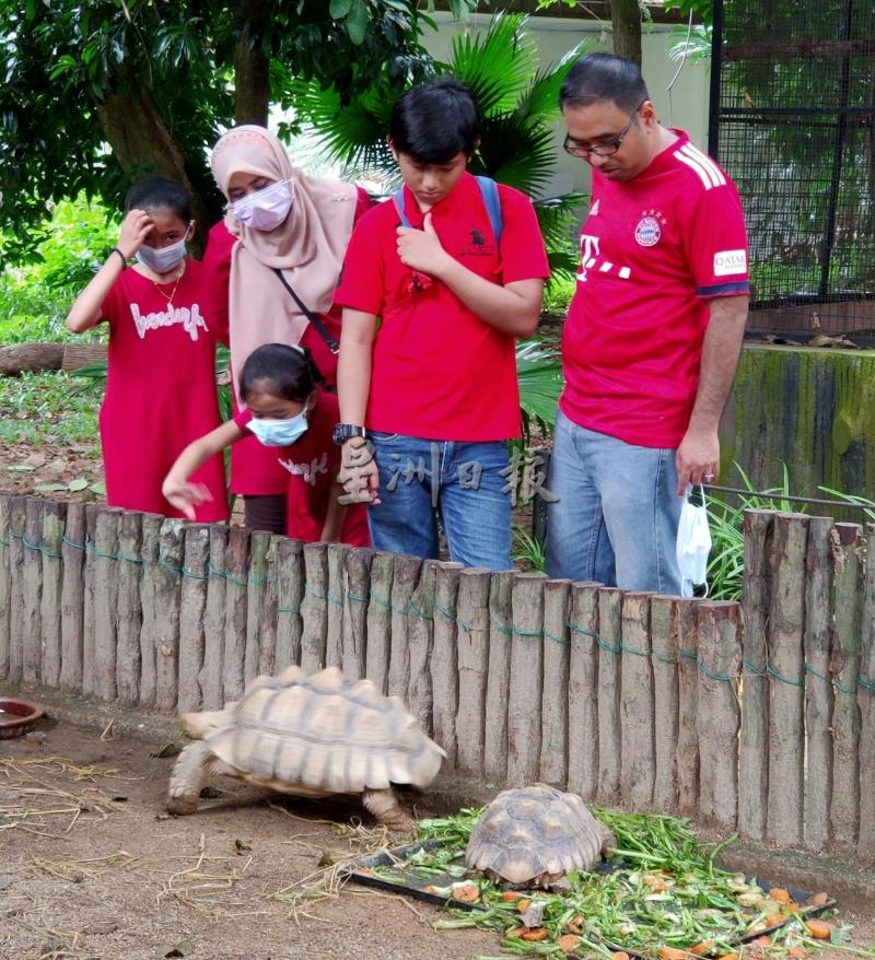 一家人穿著红色服装参观动物园，看看动物们的生活和形态。