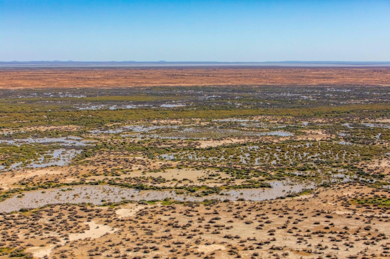 澳洲新南威尔士州政府买下15万3415公顷的私人土地以建立一座新的国家公园，为该州史上用于环境保育最大面积的土地收购。（图：法新社）

