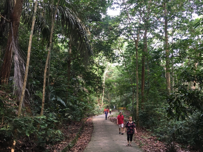 在南峇山步道上运动，山友享受登山活动，与大自然亲密接触。