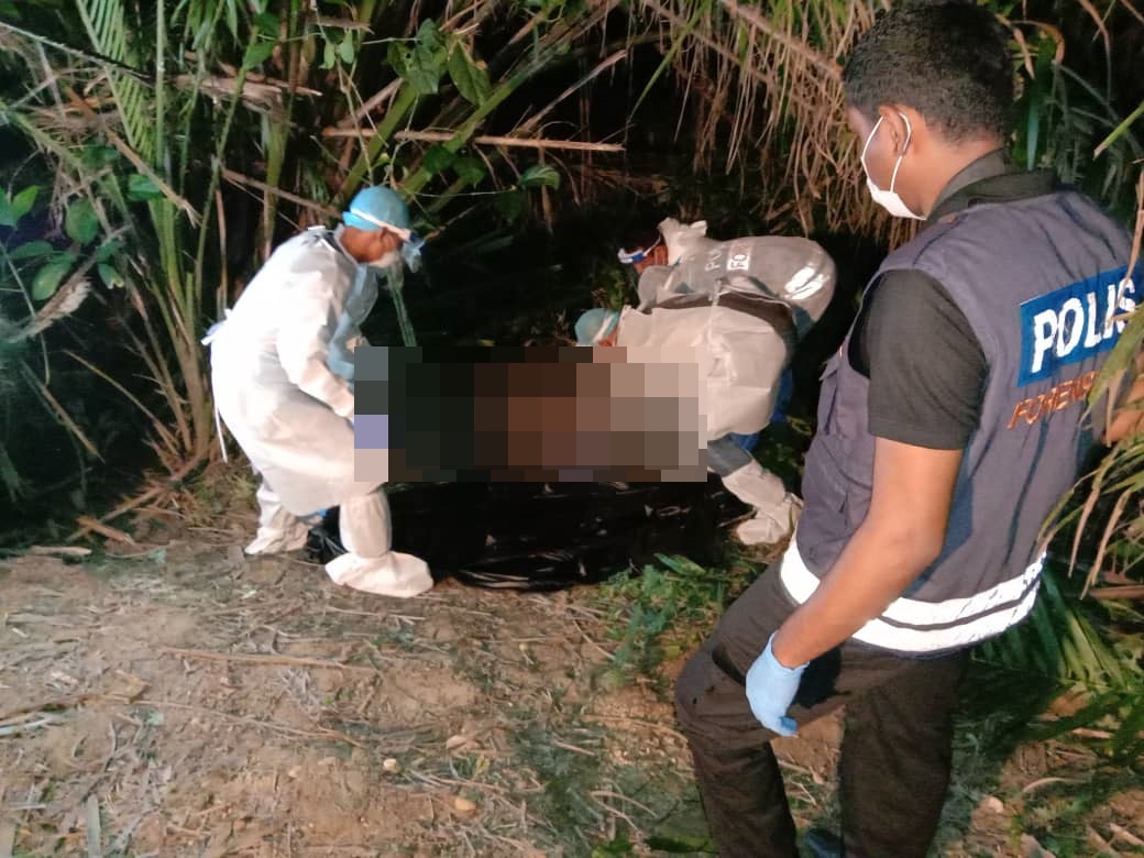 一名女子被发现半裸毙命在一座油棕园内，尸体已经发臭出现尸虫。
