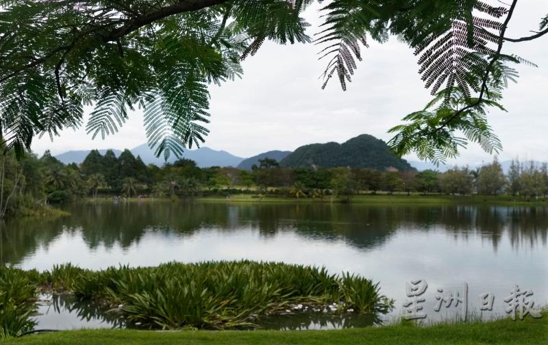 重新开放的怡保翠林城生态公园，环境清幽绿意，成为附近一带居民亲近大自然的好去处。