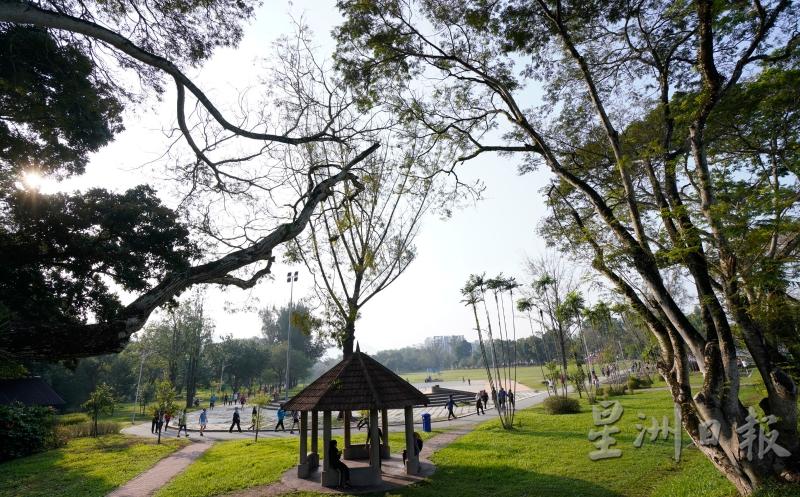 阳光正暖，市民到公园来晨运，放松身心压力，锻炼健康的体魄。