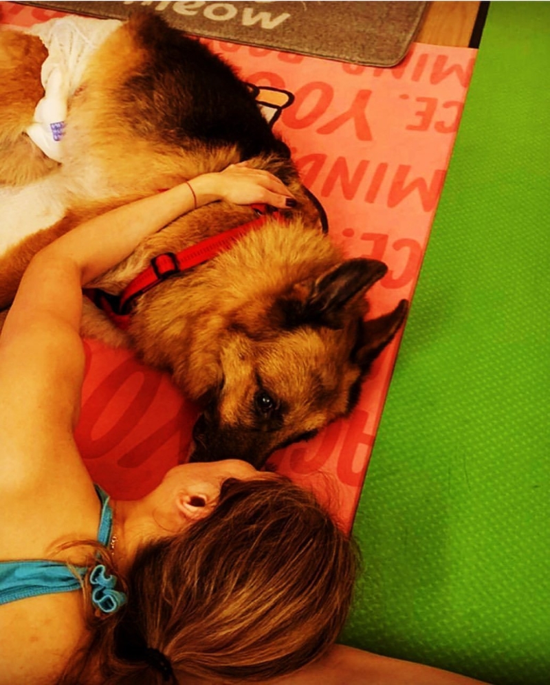 郑秀文和爱犬Lucky睡在瑜珈垫上，她一手搭在Lucky身上，画面非常有爱。至于那只本来需要处理的坏牙？郑秀文表示还没决定如何处理。