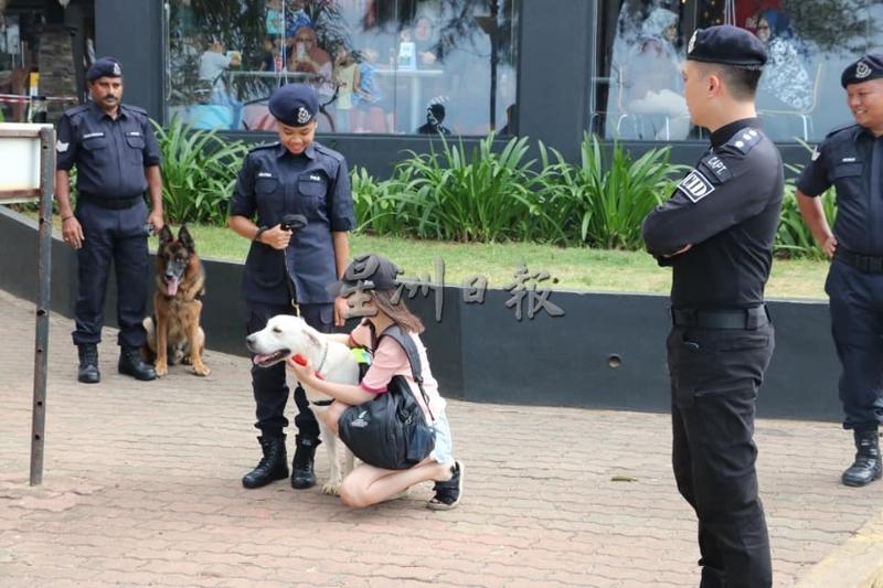 尽管身为警犬,但在民众眼中的狗儿仍是可爱的代表,路过的民众忍不住逗弄其中一只警犬。