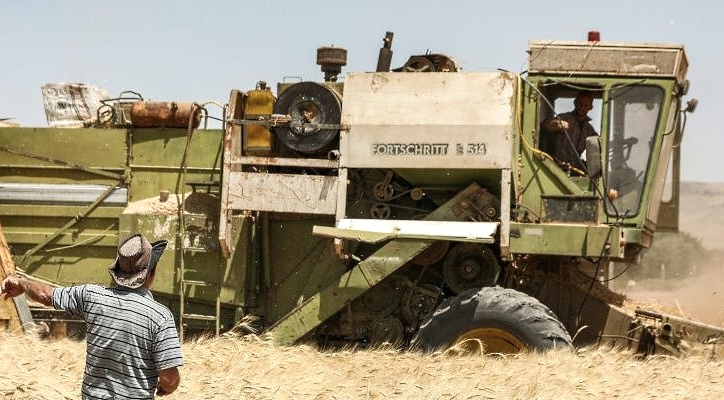 Farmers use a combined harvester in a wheat field in Al-Kaswa, south of Damascus. AFP