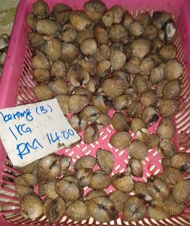 一些地区的鲜蚶，已卖至每公斤14令吉。